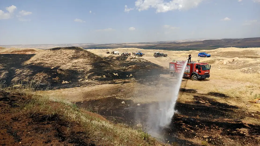 Kurtalan'da Buğday Tarlasında Yangın: 60 Dönüm Alan Zarar Gördü