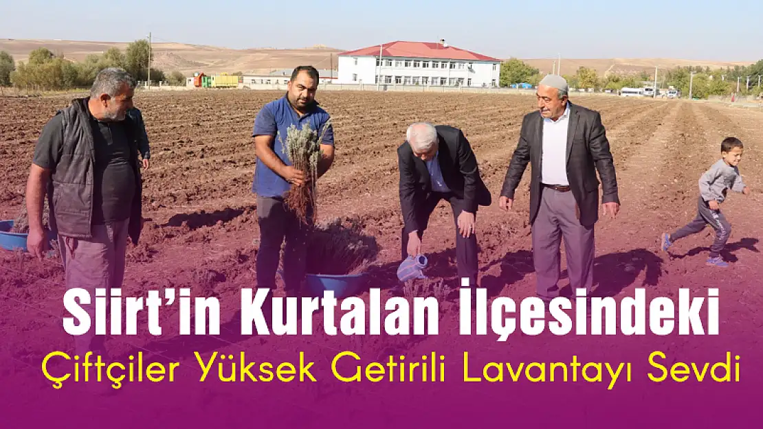 KURTALAN İLÇEMİZ ÇİFTÇİLERİ YÜKSEK GETİRİLİ LAVANTAYI SEVDİ