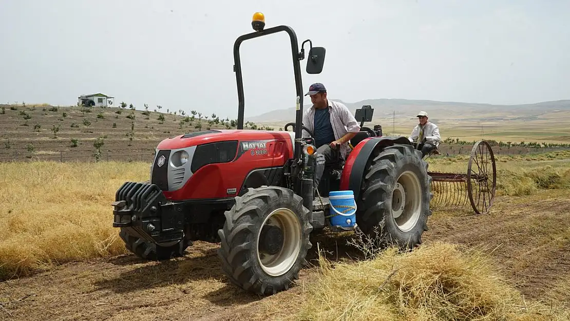 Kurtalan'da  Mercimek Hasadına Başlandı