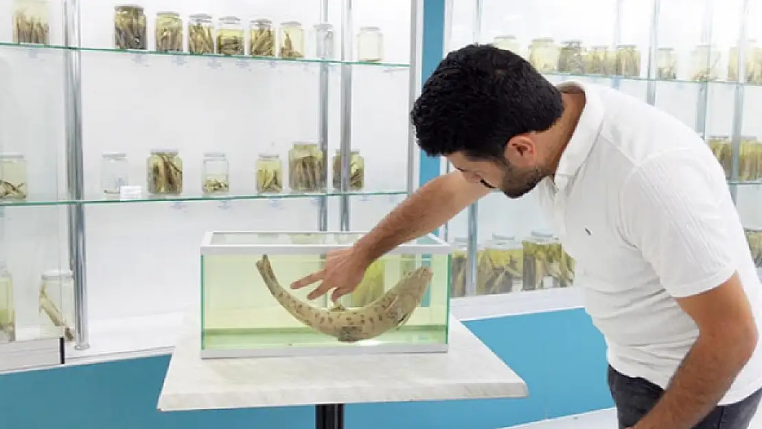 Leopar Sazanı İçin  Keşif Turu Başlatıldı
