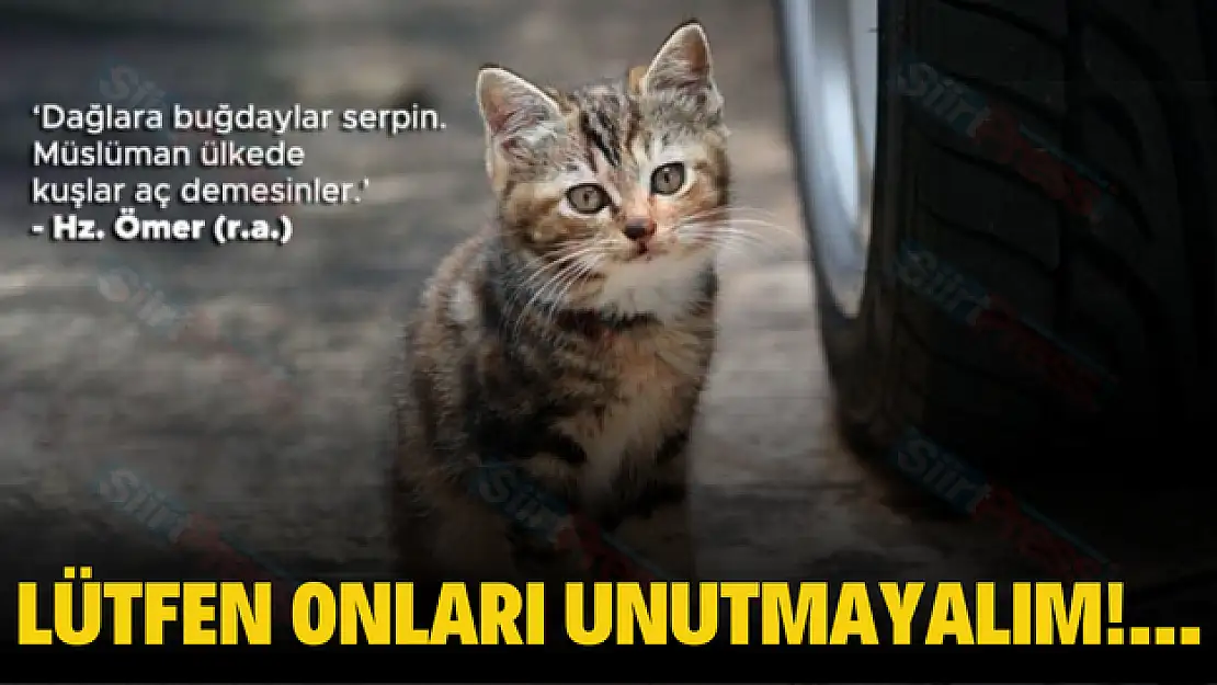 LÜTFEN ONLARI UNUTMAYALIM!
