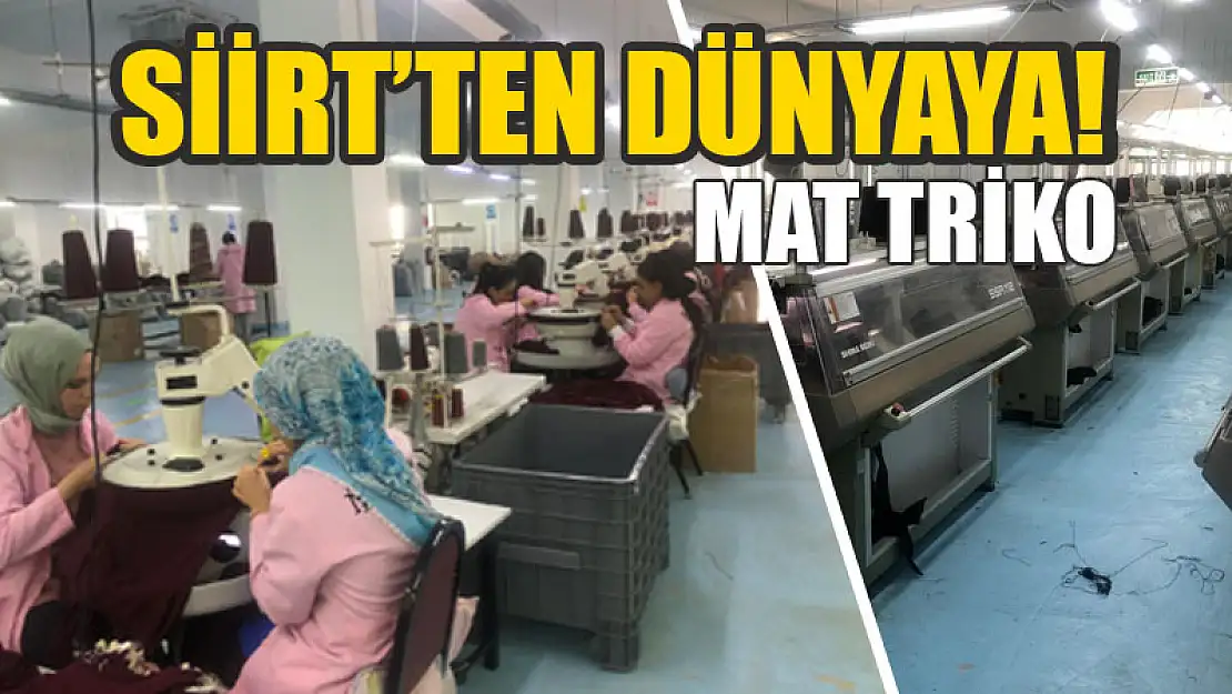 Mat Triko Kazakları, Zara Gibi Dev Markaların Reyonlarında