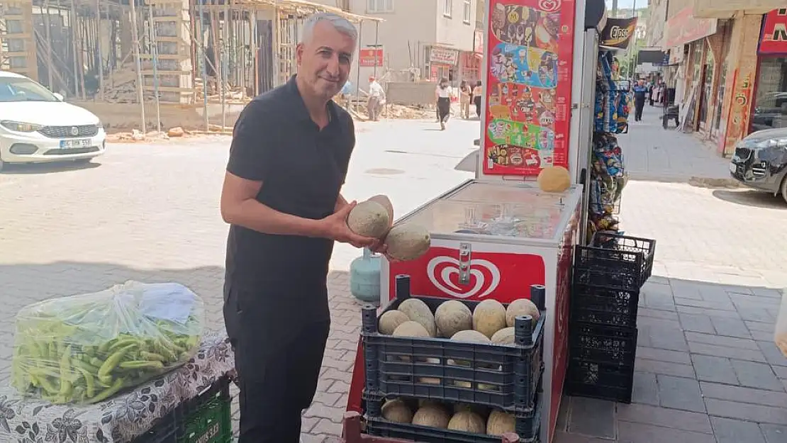 Meşhur Kavunumuz Tezgâhları Süsledi