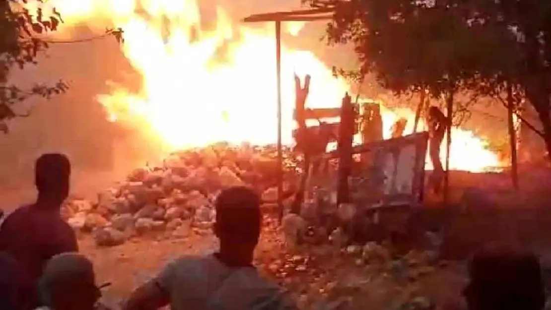 Meyve Ağaçları Yandı