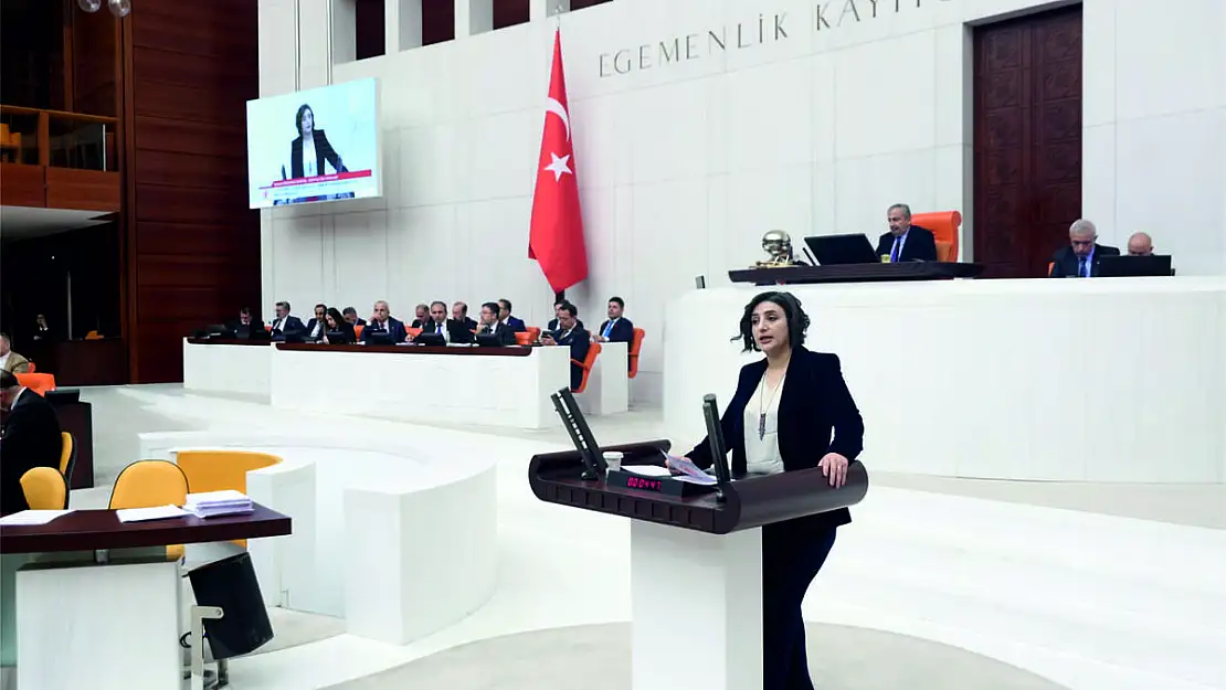 Milletvekilimiz Sarıtaş, Kurtalan Devlet Hastanesi'nde Yaşanan Klima Krizini TBMM'ne Taşıdı