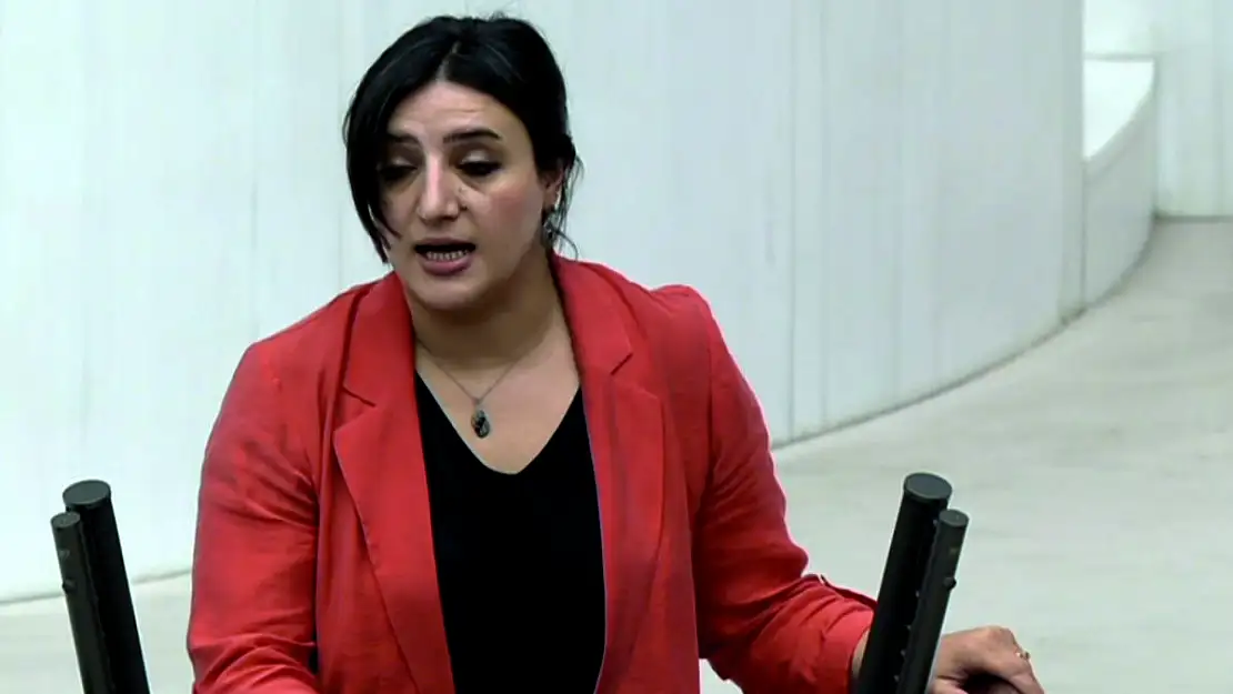 Milletvekilimiz Sarıtaş, TBMM'nde Sokak Hayvanları İle İlgili Bir Konuşma Yaptı