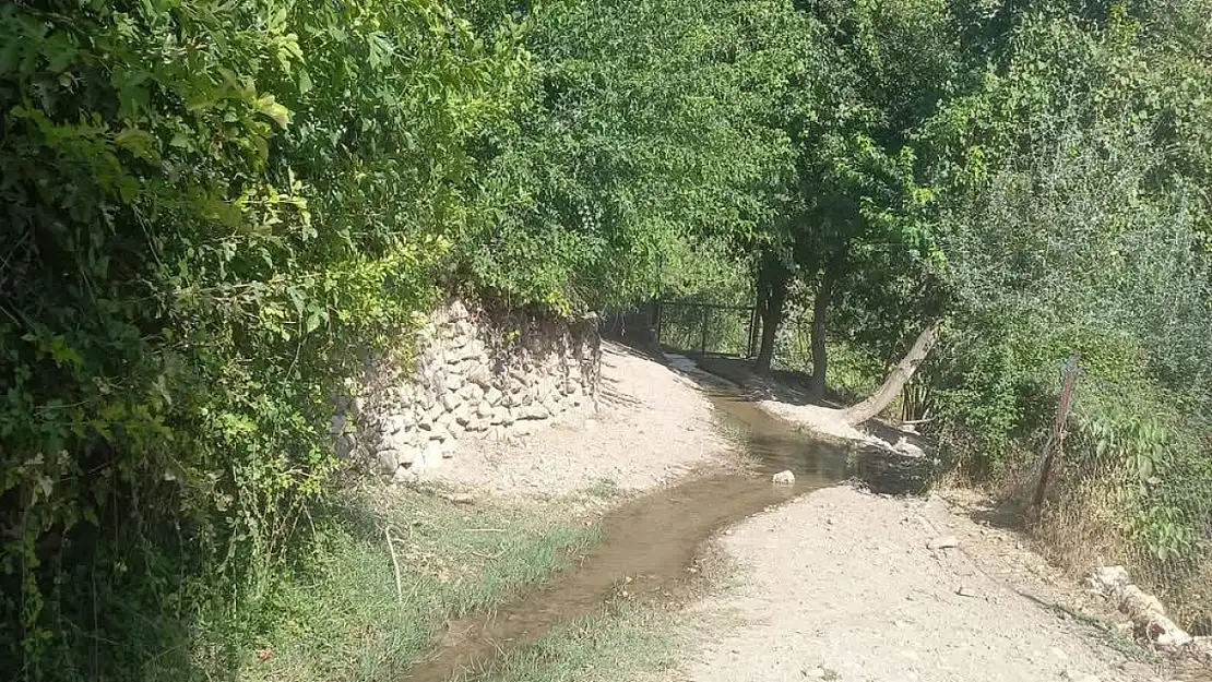 Muhtar Uyardı: Siirt'te Köy Çalışmasına Katılmayana Ceza Kapıda!