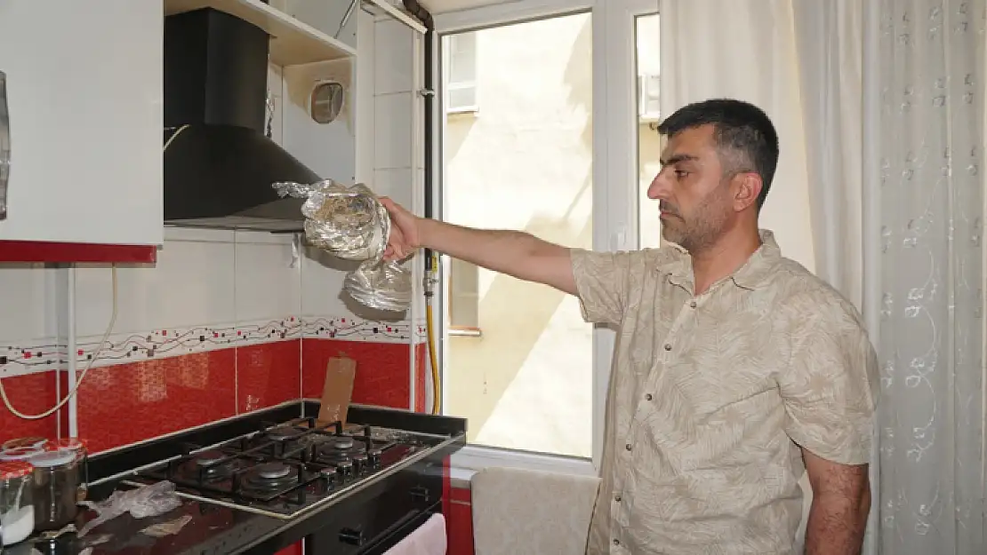 Nesli Tükenmekte Olan Puhu Kuşu, Mutfak Havalandırmasına Yuva Yaptı