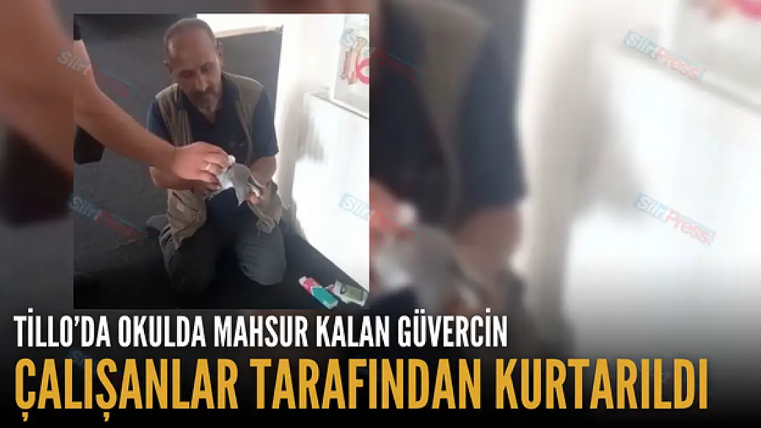 Okulda Mahsur Kalan Güvercin Çalışanlar Tarafından Kurtarıldı