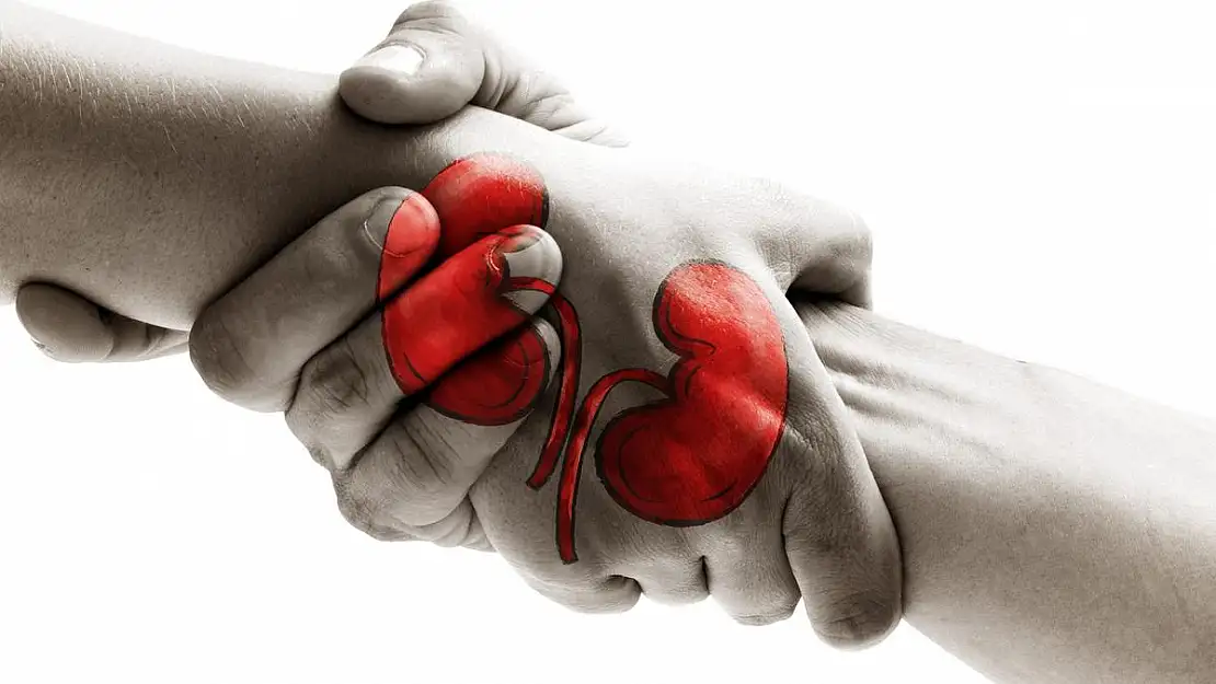 Organ Bağışı Sorunları ve Çözüm Yolları
