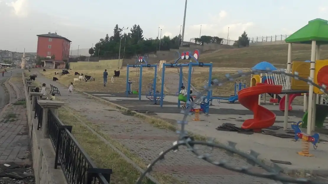 Parkta Hayvanların Otlatılmasına Mahalle Halkından İsyan!