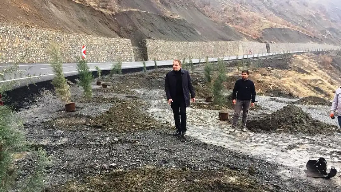 Pervari Belediyesinden Daha Yeşil Bir Pervari İçin Ağaçlandırma Seferberliği