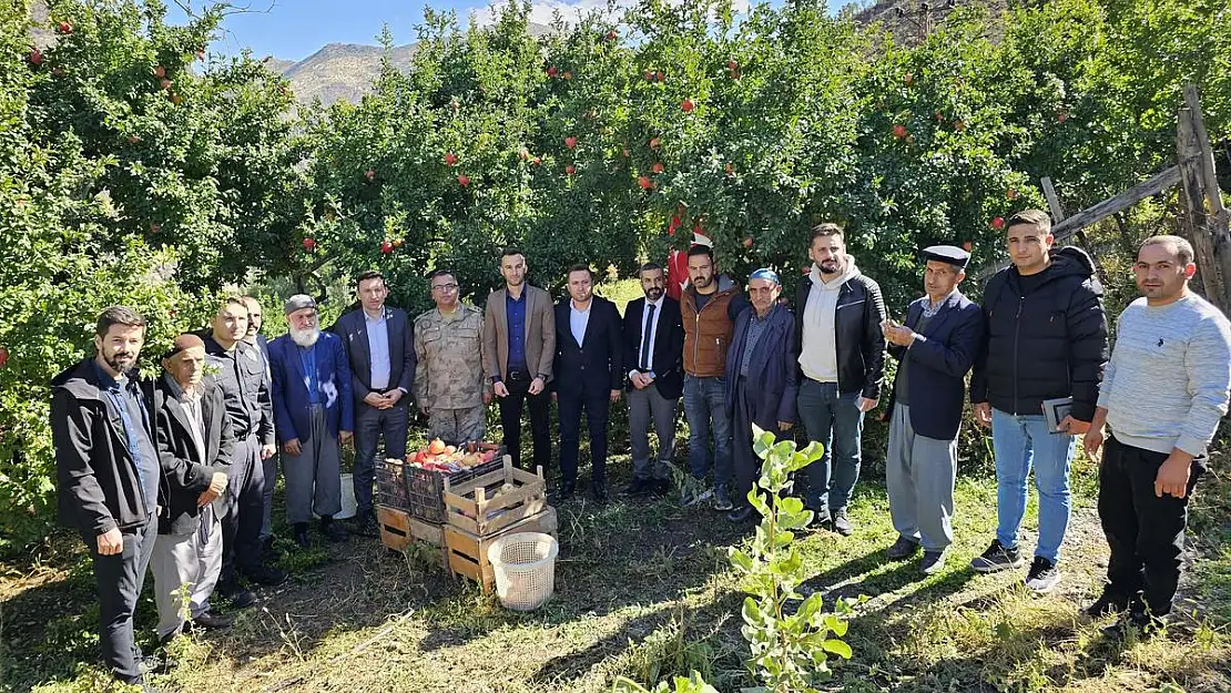Pervari Kaymakamı Nar Hasadına Katıldı