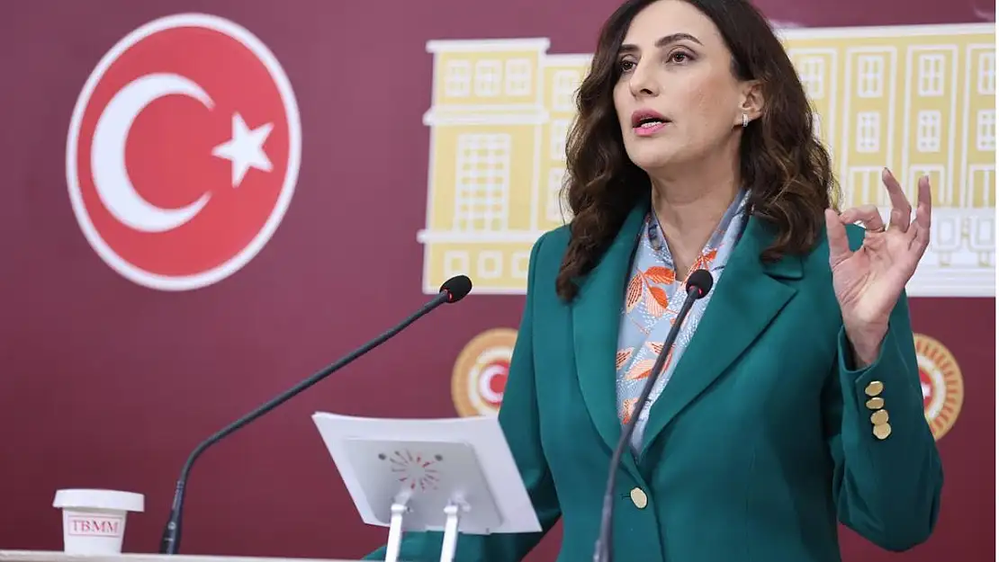 Rızvanoğlu Afetlerle Etkin Mücadele İçin TSK Bünyesinde 'Doğal Felaketlerle Mücadele Kuvvetleri' Kurulmasını Öngören Kanun Teklifini TBMM'ye Sundu