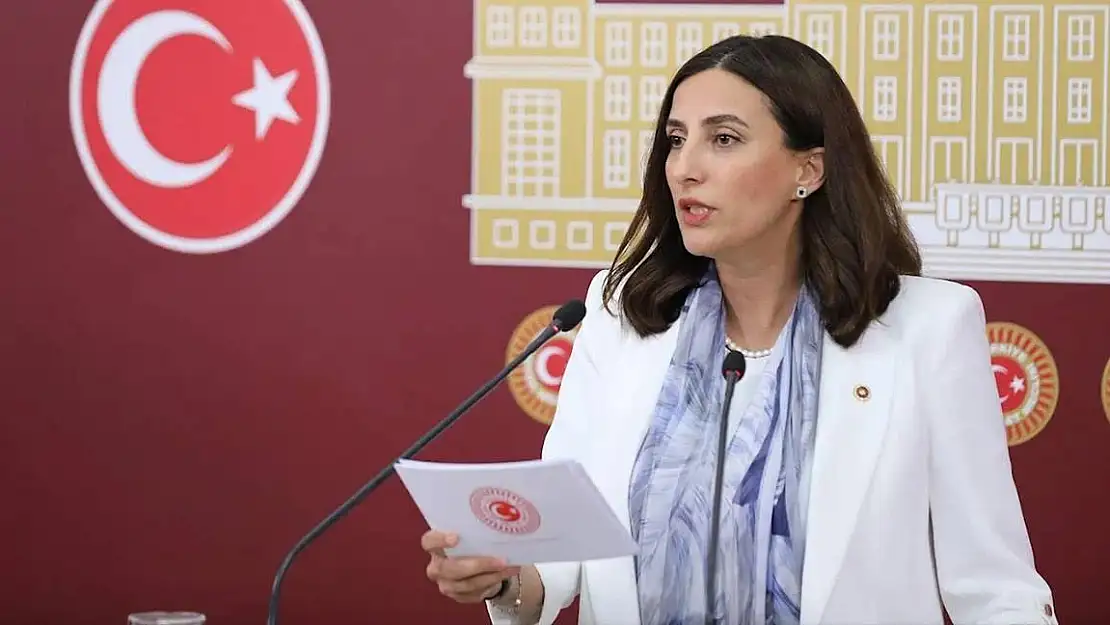 Rızvanoğlu: Ciddi Çevresel ve Güvenlik Riskleri Var