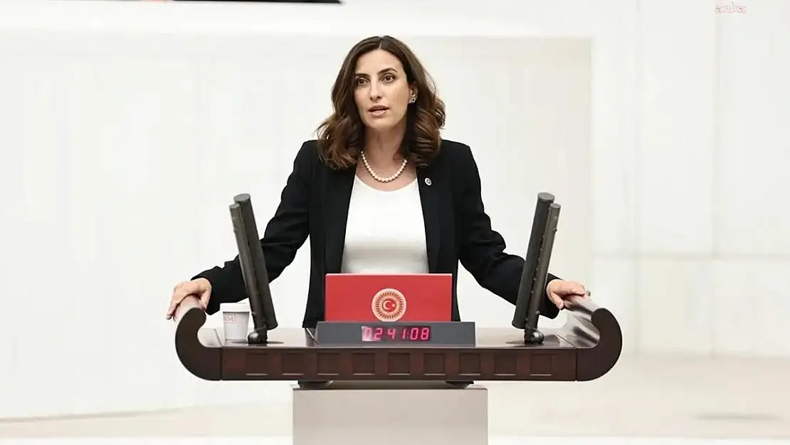 Rızvanoğlu, Diyarbakır-Mardin Yangınını İki  Bakana Da Ayrı Ayrı Sorarak Meclis Gündemine Taşıdı