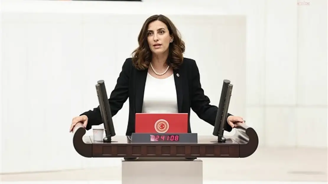 Rızvanoğlu: 'İklim Değişikliği Başkanlığı Bütçesi, Resmi Enflasyonun Dahi Çok Altında Kaldı'