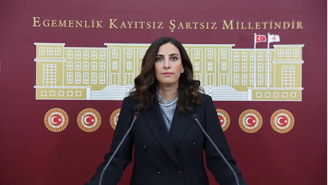 Rızvanoğlu, İklim Kanunu Teklifi'ni Eleştirdi