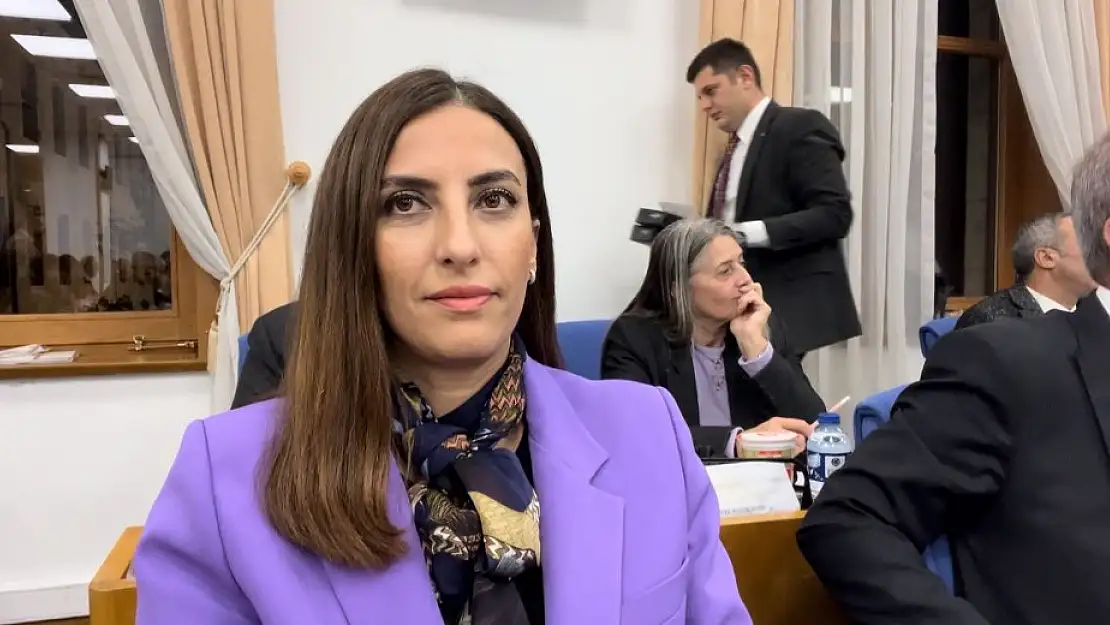 Rızvanoğlu: 'Türkiye Kömürden Enerji Üretiminde Düşüş Olmayan Tek Ülke'