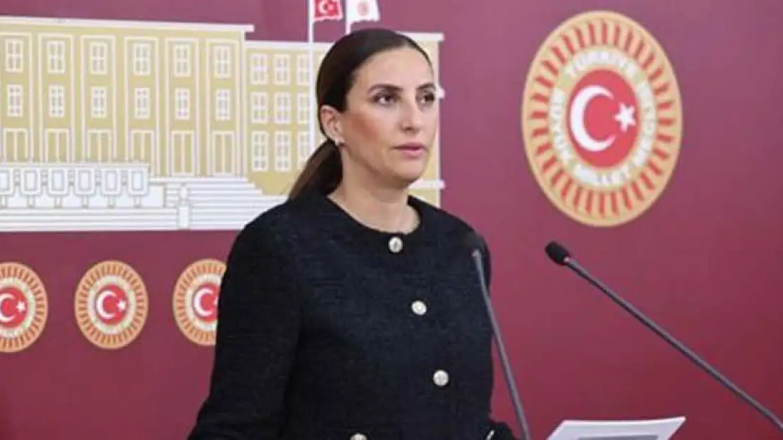 Rızvanoğlu'ndan Aile Yılı Eleştirisi
