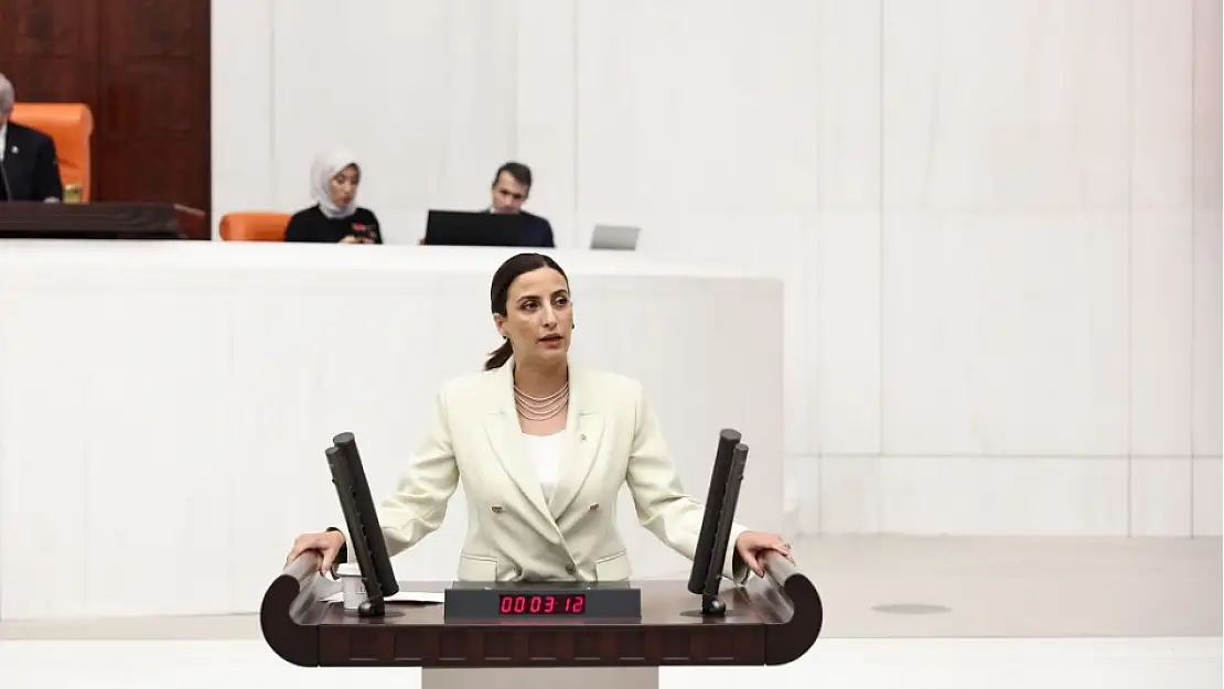 Rızvanoğlu'ndan BDDK'ya Çağrı