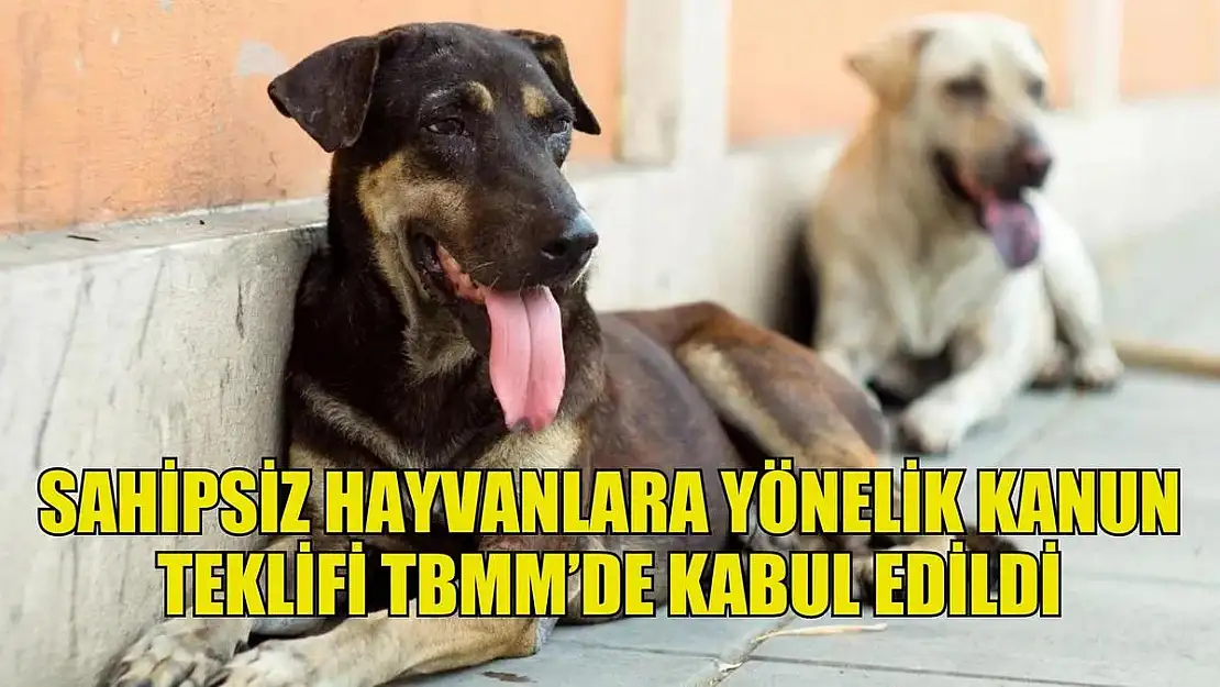 Sahipsiz Hayvanlara Yönelik Kanun Teklifini Kabul Eden TBMM Tatile Girdi