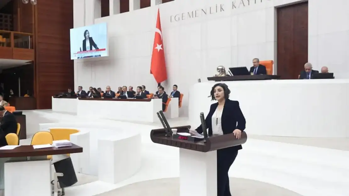 Sarıtaş, Eruh İlçemizdeki Darp Olayını İki Bakanlığa Sordu