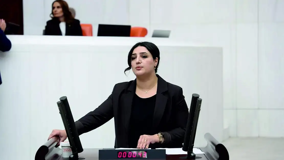 Sarıtaş, Kayıp Çocuklar ve Çocuk İstismarı Meselelerini TBMM'nde Dile Getirdi (VİDEOLU)
