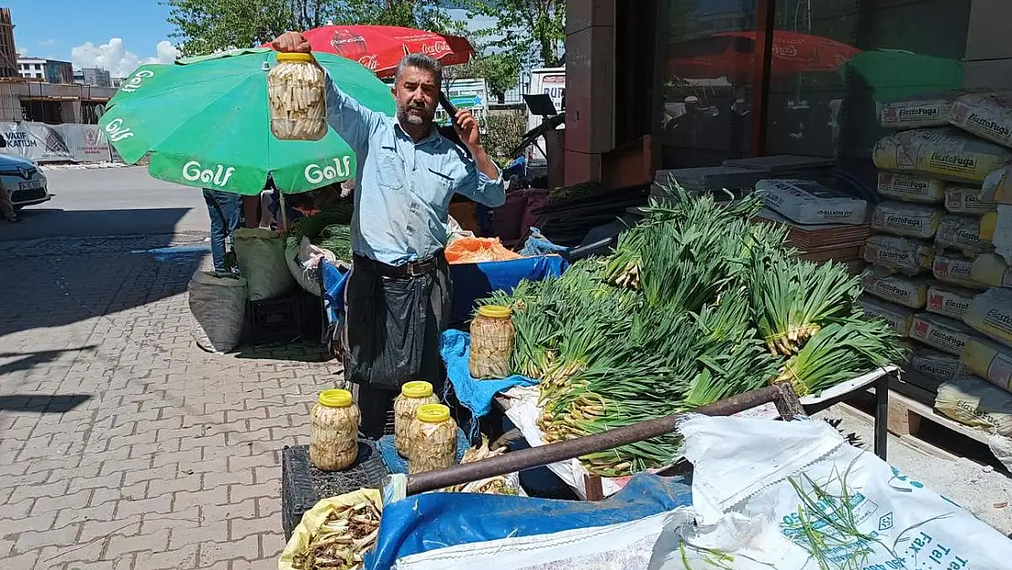 ŞİFALI OTLARA BÜYÜK RAĞBET