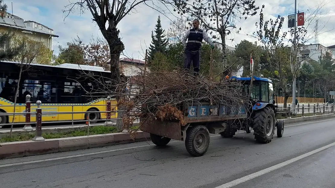Siirt Belediyesi Ağaç Budama Çalışmalarına Devam Ediyor