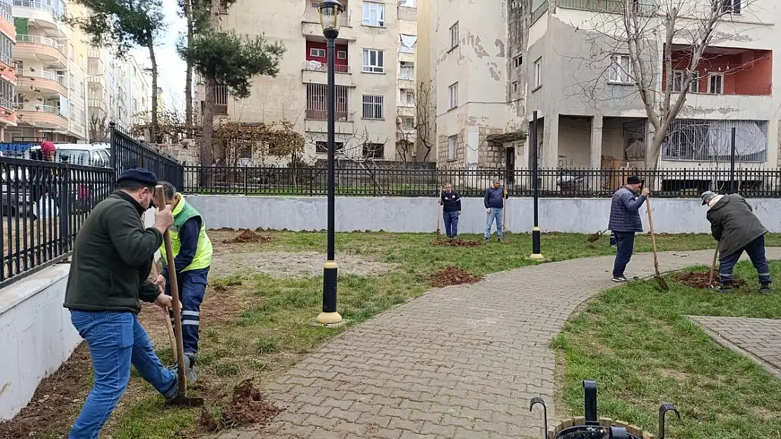 Siirt Belediyesi Park ve Bahçeler Müdürlüğü Ağaç Dikme Çalışmalarına Devam Ediyor