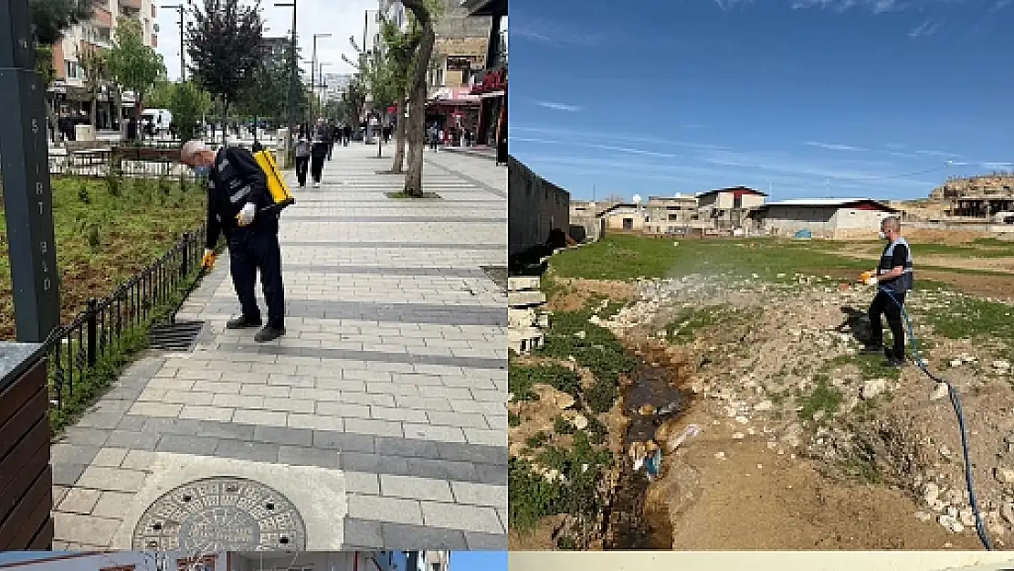 Siirt Belediyesi'nden Çevre Temizliği Seferberliği