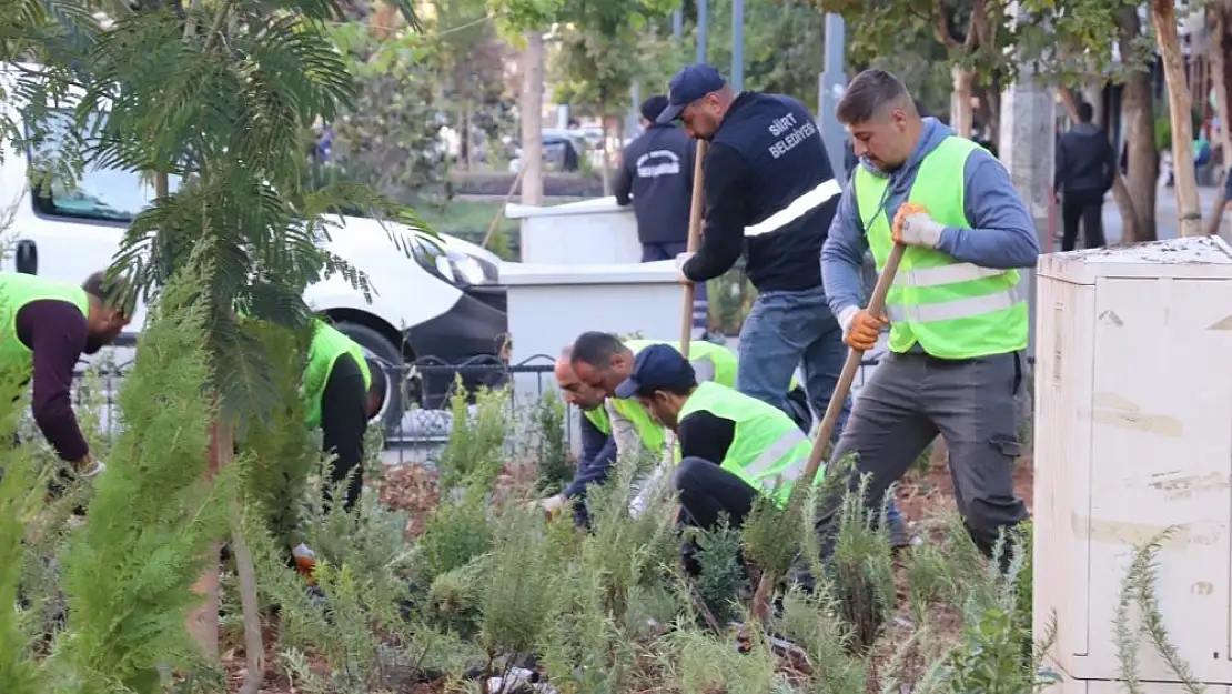 Siirt Belediyesi'nden Kent Merkezinde Yeşillendirme Çalışmaları