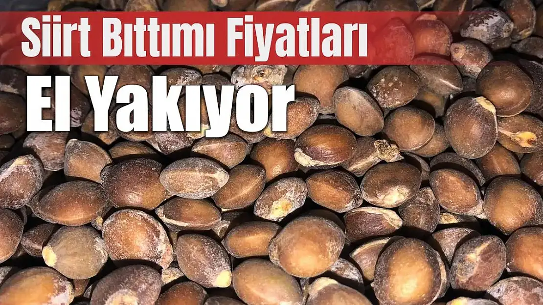 Siirt Bıttımı'nın Fiyatları El Yakıyor…
