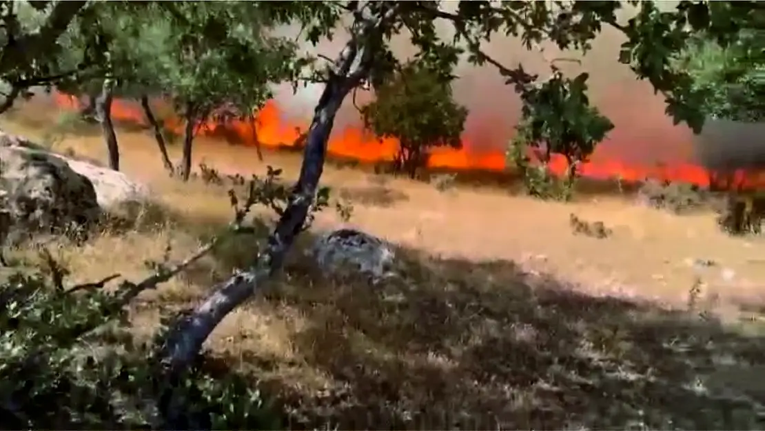 Siirt Eğlence Köyünde Çıkan Yangın, Kontrol Altına Alındı