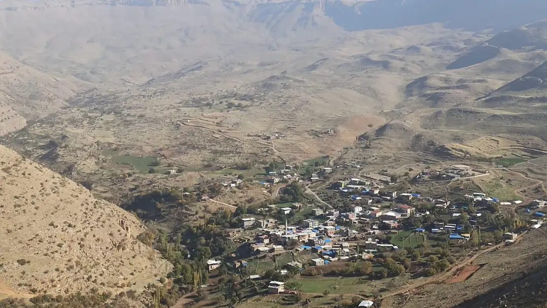 Siirt Eruh'ta Yaylada Ayı Saldırısı: Bir Kişi Yaralandı