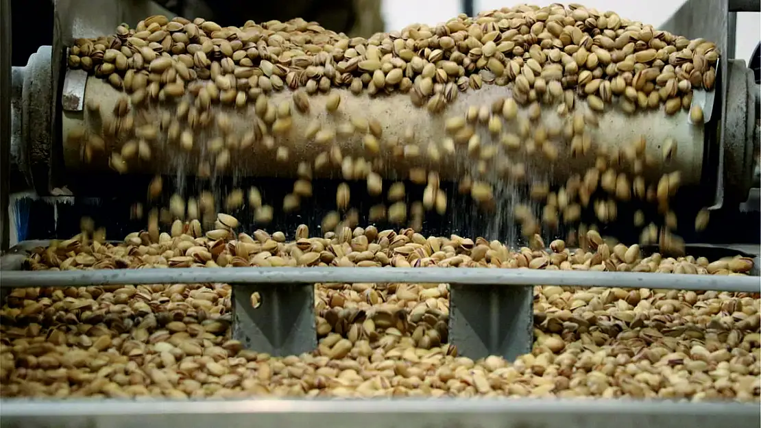 Siirt Fıstığı İşleme Sanayi ve Ticaret A.Ş.'den Üreticilere Çağrı