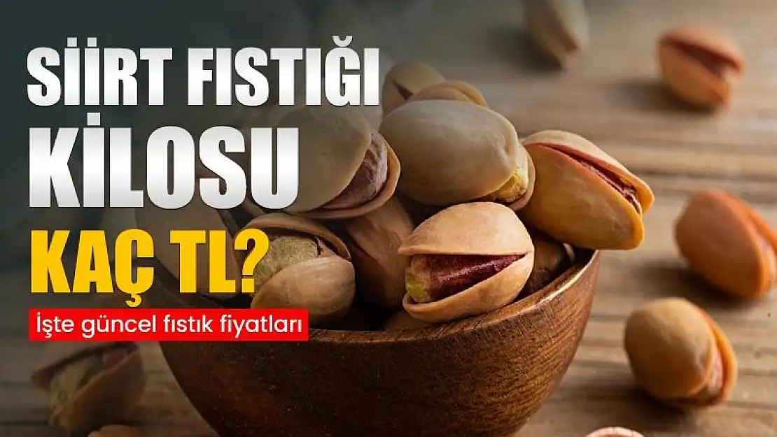 Siirt Fıstığında Fiyatı Artışı