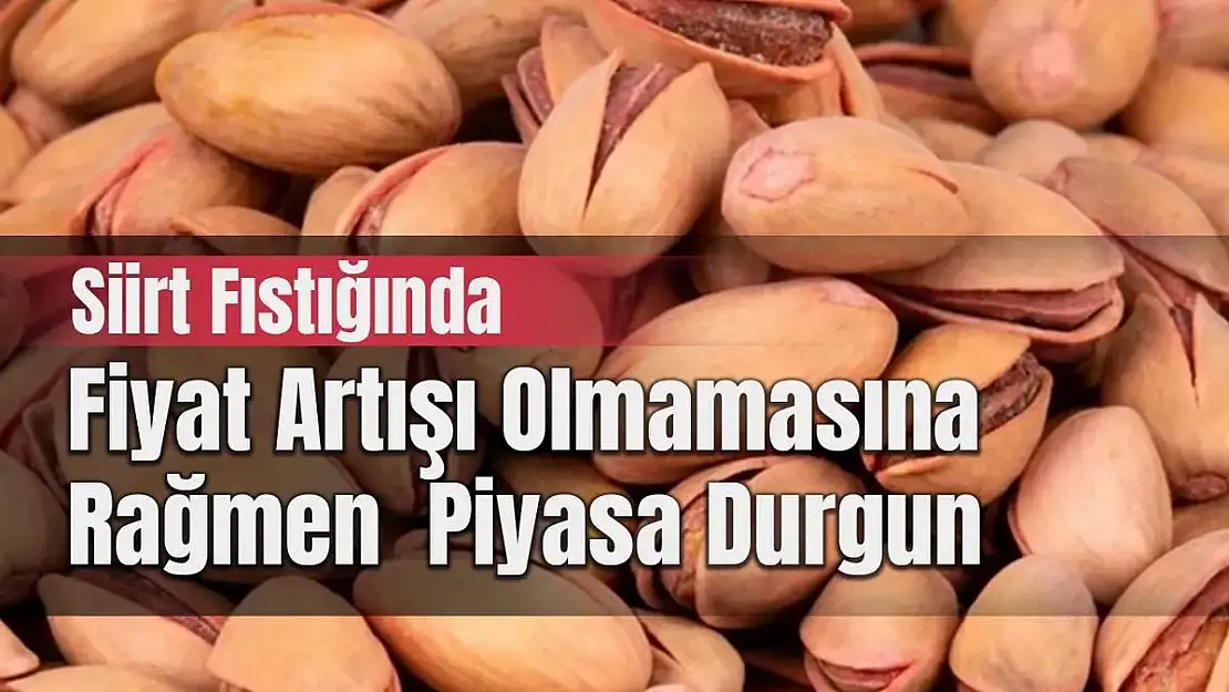 Siirt Fıstığında Piyasa Durgun!