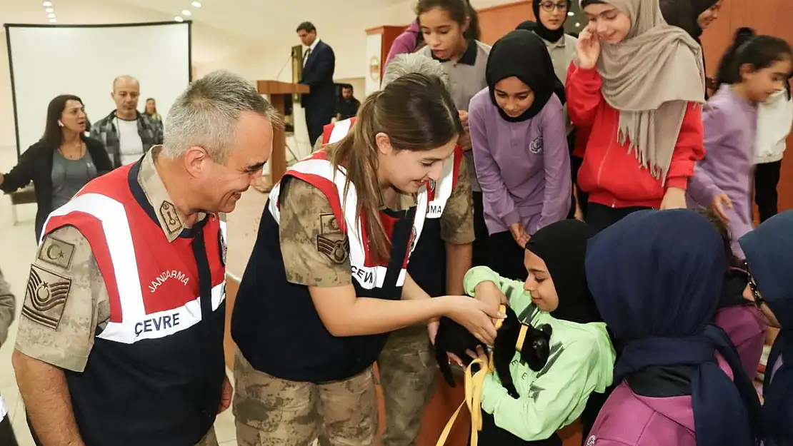 Siirt İl Jandarma Komutanlığı, HAYDİ Uygulaması Hakkında Bilgilendirmelerde Bulundu