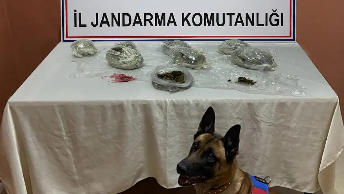 Siirt İl Jandarma Komutanlığı Uyuşturucu Tacirlerine Geçit Vermiyor