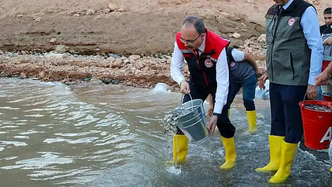 Siirt Ilısu Prof. Dr. Veysel Eroğlu Barajı'na 1 Milyon Yavru Sazan Salındı