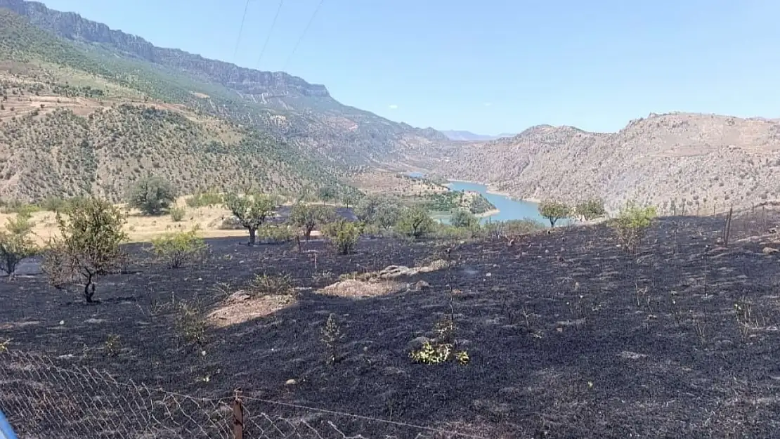 Siirt'in Pervari İlçesinde Mezarlıkta Yangın: Ağaçlar Zarar Gördü