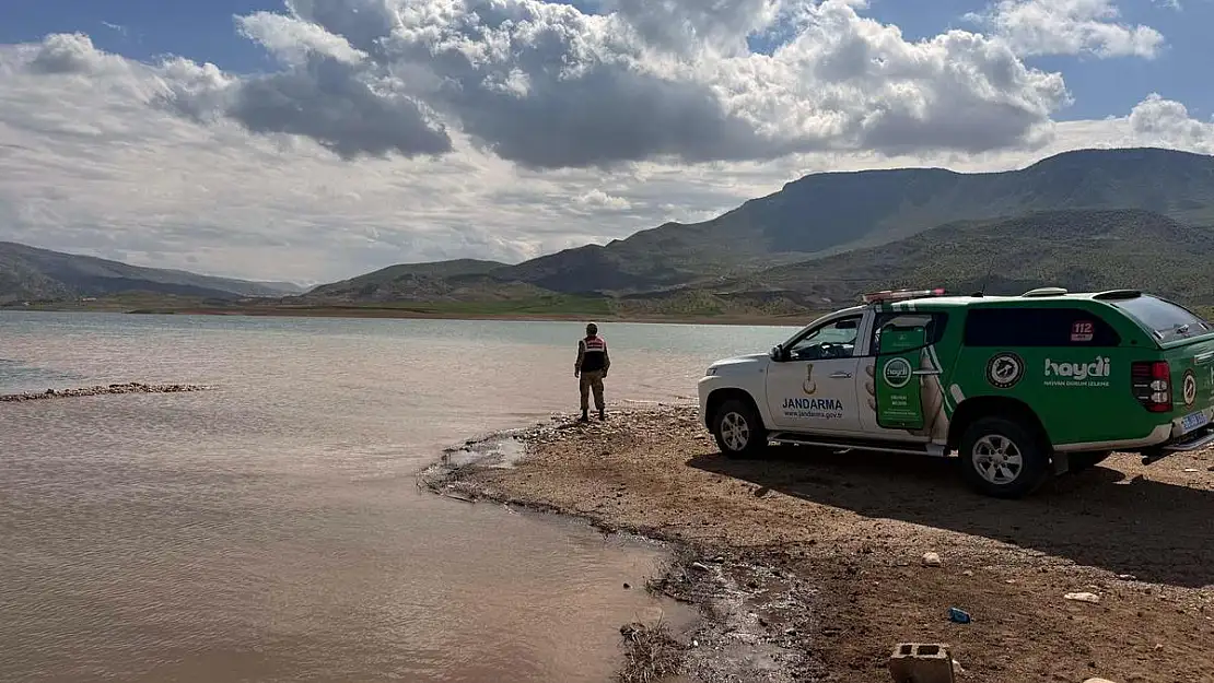 Siirt Jandarması Feyezan Riskine Karşı Sahada!