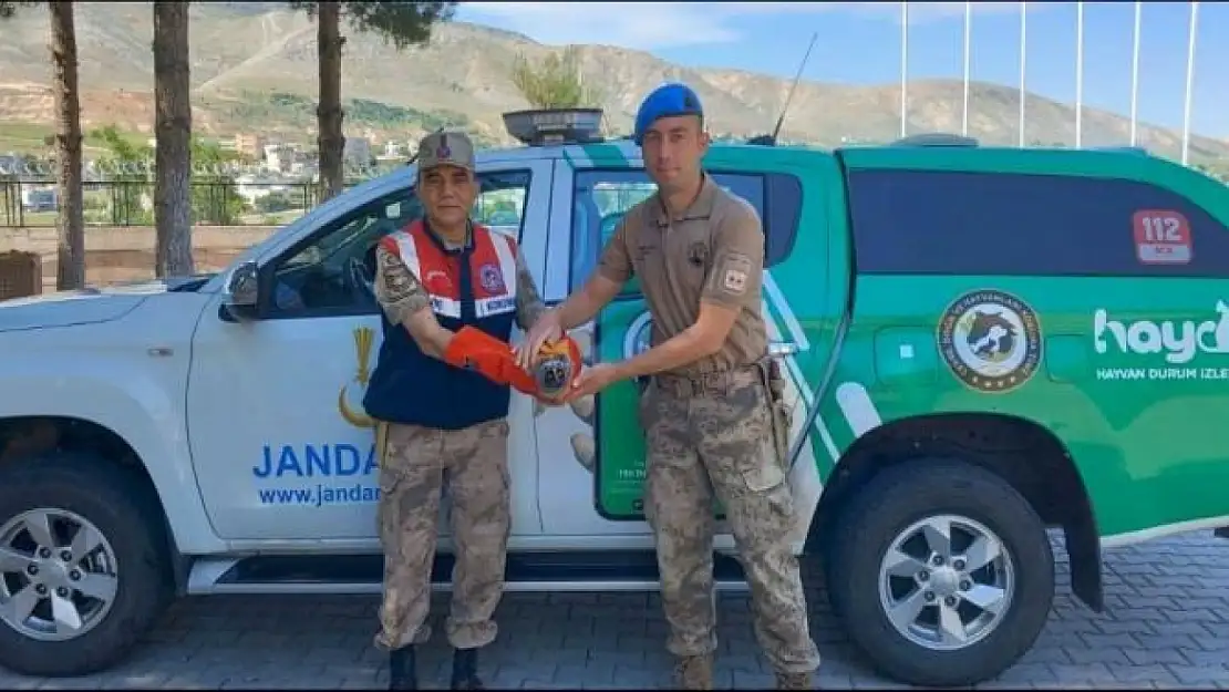 Siirt Jandarmasından Yaralı Kuşlara Şefkat Eli!