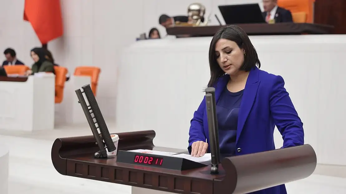 Siirt Milletvekili Sarıtaş, Kezer Çayı'nda 13 Yaşındaki Çocuğun Boğulması Olayını Meclis Gündemine Taşıdı