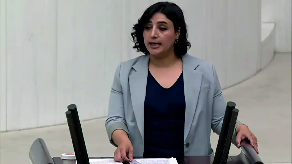 Siirt Milletvekili Sarıtaş, Newala Kasabası'nın İmara Açılması Konusunda Genel Kurulda Konuşma Yaptı (VİDEOLU HABER)
