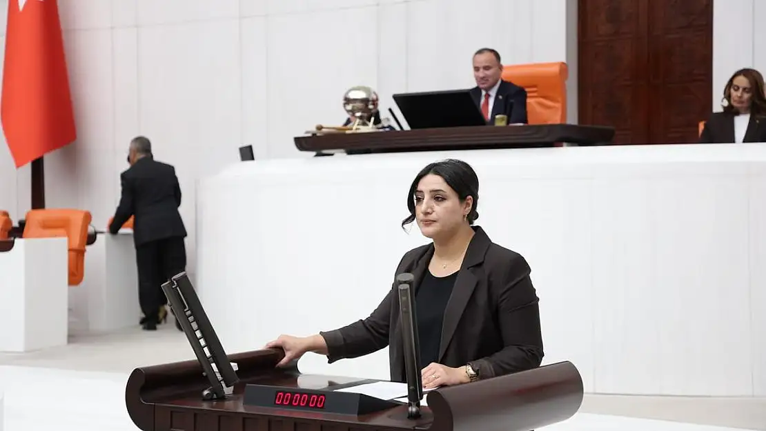 Siirt Milletvekili Sarıtaş, Onkoloji ve Nefroloji Alanlarında Siirt'te Doktor Bulunmamasının Nedenlerini Sordu