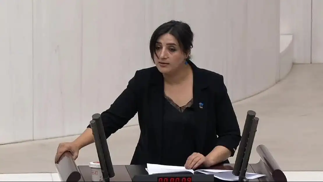 Siirt Milletvekili Sarıtaş, Siirt Havaalanı Sorununu Meclis Gündemine Taşıdı (VİDEOLU HABER)
