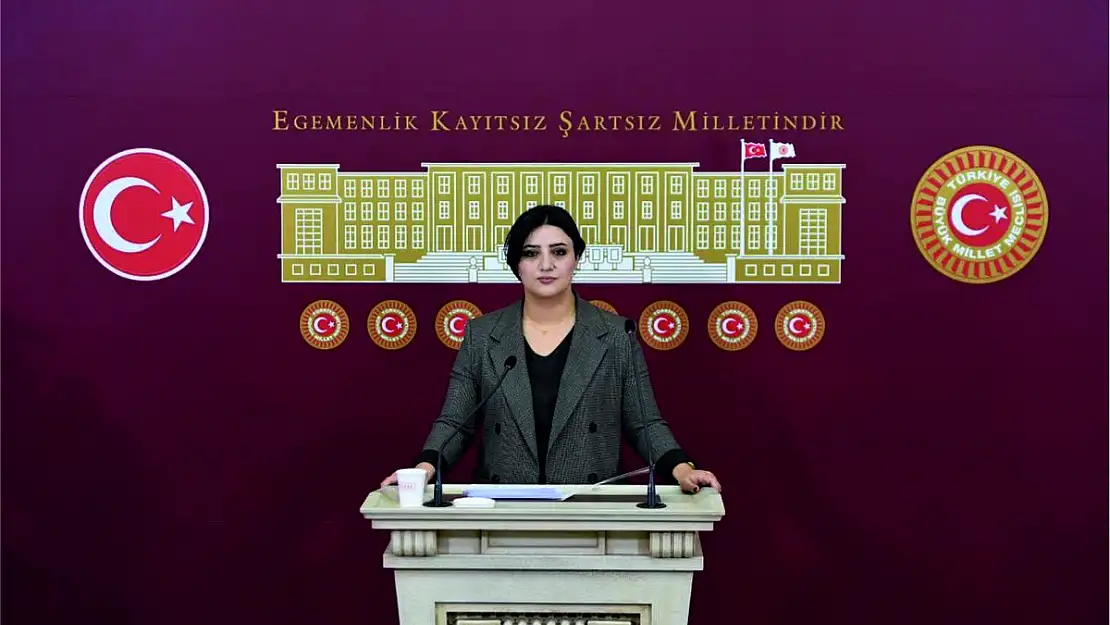 Siirt Milletvekili Sarıtaş'tan TBMM'nde Ulaşım, Eğitim ve Sağlık Sorunlarına İlişkin Basın Açıklaması